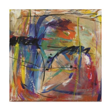 Trademark Fine Art Shana Dominguez 'Energetic Vibration' Canvas Art, 24x24 MA00951-C2424GG